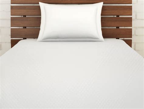 Solid White Polyester Double Mattress Protector - Softshield By Spaces