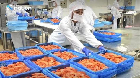 Thailand successfully exports frozen shrimp through Laos-China railway