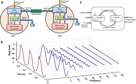 Python Cell Resonance Modelling 的图像结果