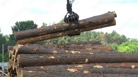 Timber Cutting Machine 的图像结果