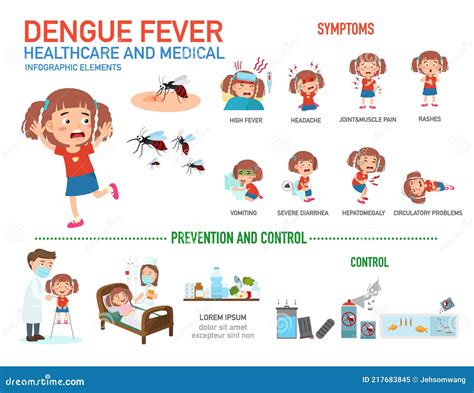 Dengue Fever Infographics. Template Design Of Details Dengue Fever And Symptoms With Prevention ...