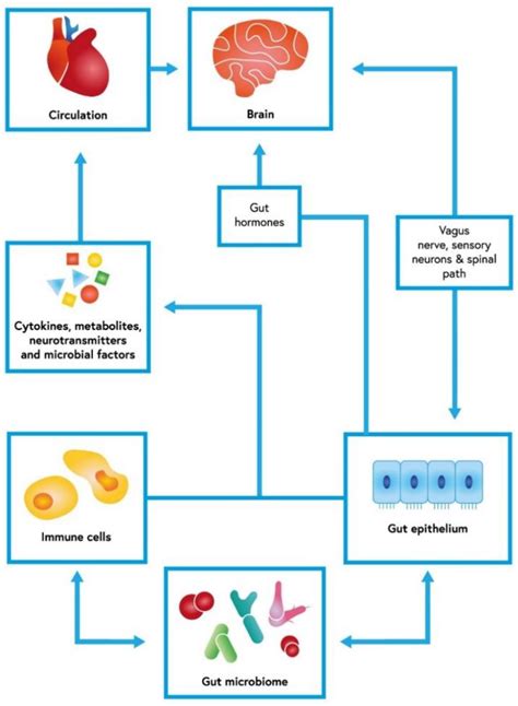 The Role of the Human Microbiome in the Pathogenesis of Pain