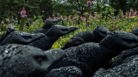 Ebony G. Patterson Brings a Crowd to the New York Botanical Garden - The New York Times
