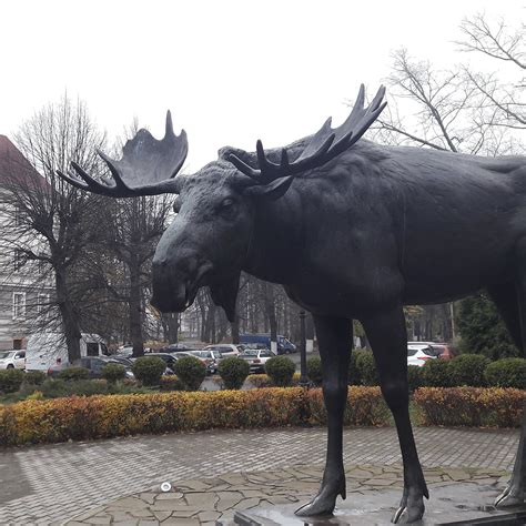 MOOSE SCULPTURE (2025) All You Need to Know BEFORE You Go (with Photos ...