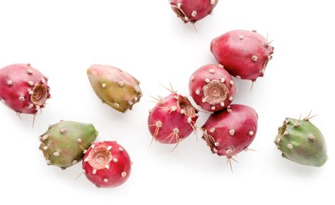 A Universal Love for Prickly Pear or Opuntia ~ Raw Materials