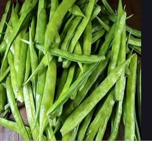 Vinca Art Cluster Beans Indian Vegetable Seeds - Guar Ki Fali Hybrid ...