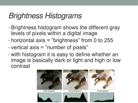 Digital Image Example 的图像结果