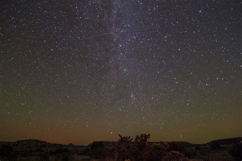 Sequator Software 的图像结果