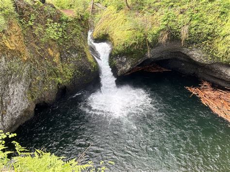 Tunnel Falls Oregon Hike Guide - Virtual Sherpa