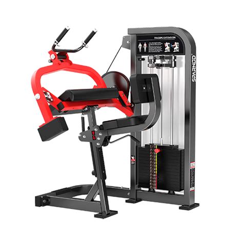 HAM-10 TRICEPS EXTENSION