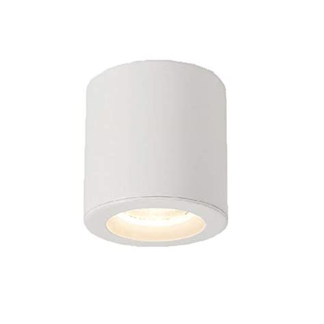 Reiz V 192 LED, 10W Surface Ceiling Cylinder Light (Cool White, 20 ...