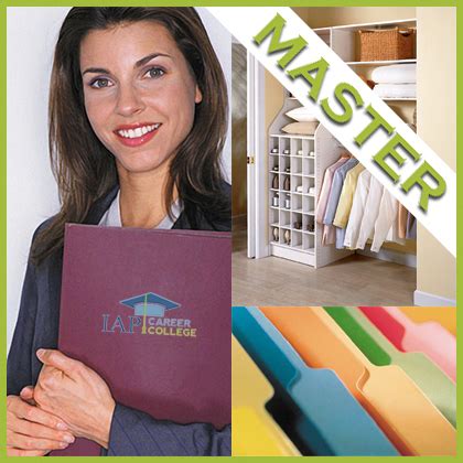 Organizer Program 的图像结果