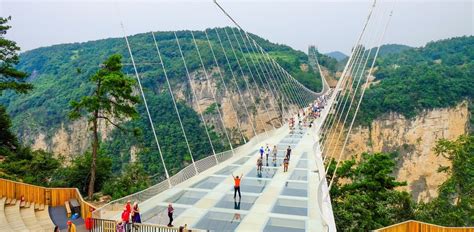 Check Out These Glass Skywalks Around The World For Some Adventure