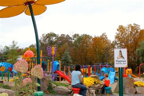 Pet-Friendly Campground in 1000 Islands: Your Furry Vacation Awaits