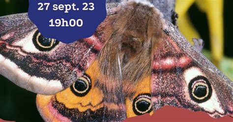 QUIZ NATURE avec Bretagne Vivante, BEAJ KAFE, September 27 2023 ...