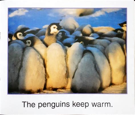 Penguins – Books and You