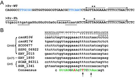 Promoter Region Models 的图像结果