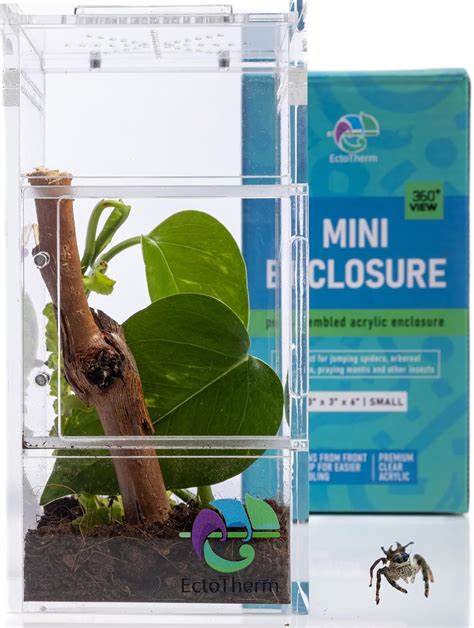 EctoTherm Jumping Spider Enclosure - Complete Australia | Ubuy