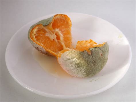 Image result for Tangerine Computer Systems