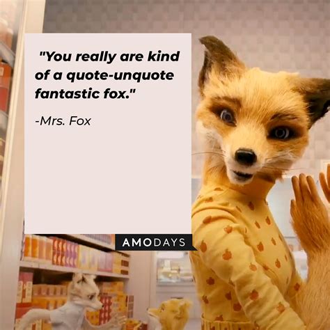 40 'Fantastic Mr. Fox' Quotes to Tempt You off the Straight and Narrow