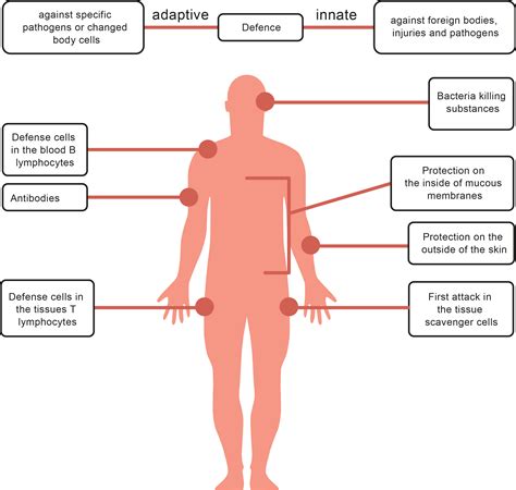 Image result for Pathogen of Humans