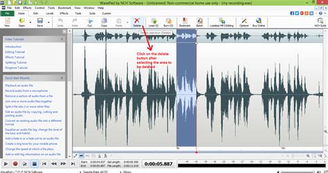 Image result for Wavepad Audio Editing Software