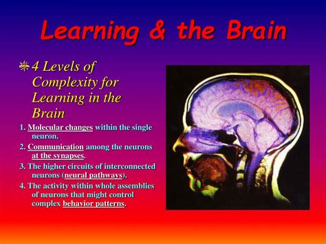 Classical Conditioning in Humans 的图像结果