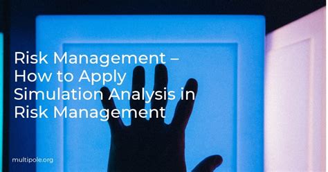 Computer Simulation for Risk 的图像结果