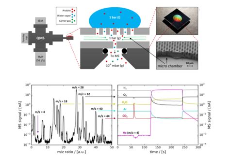 Image result for Mass Spectrometry Graphs Explained