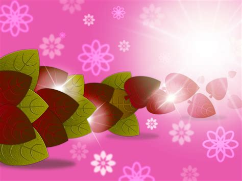 Flower 的图像结果