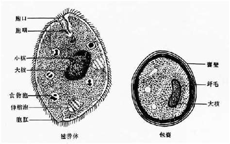 Image result for Sample PostScript File
