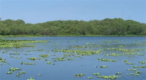 Image result for Monitoring Water Quality Arduino