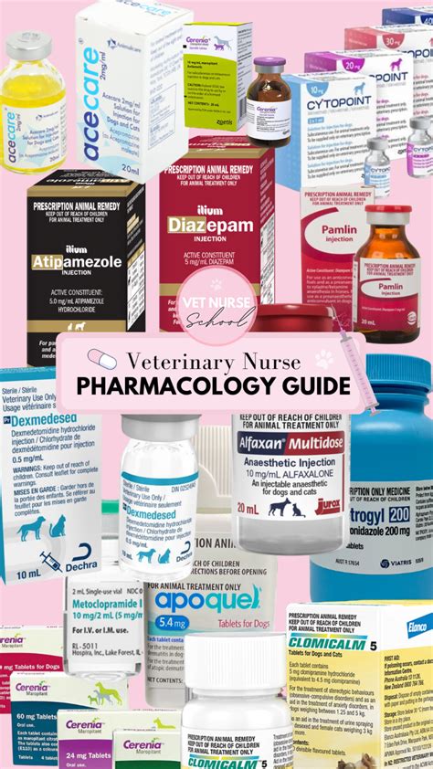 Animal Medicine 的图像结果