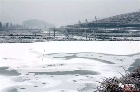 冬季物语：《红楼梦》“白茫茫大地真干净”的雪景寓意 - 哔哩哔哩
