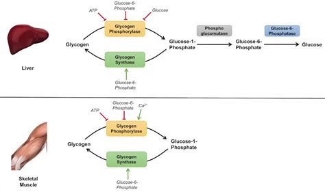 Image result for Machine Learning Graph Fitting