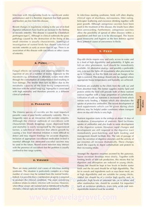 Image result for Broiler Chicken Brooding