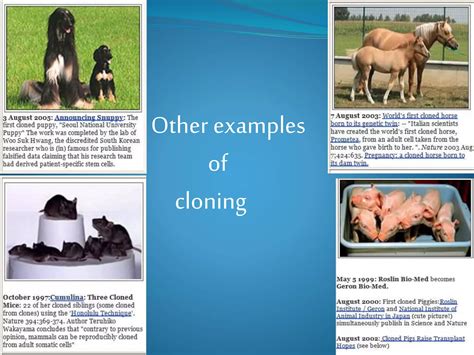 Cloning Examples 的图像结果