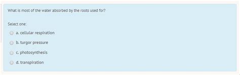 What is most of the water absorbed by the roots used for? - Brainly.in