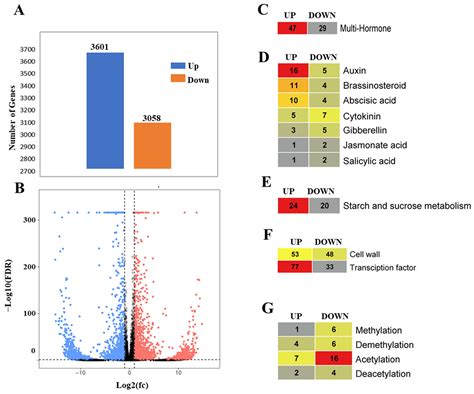 Characterization of Main Responsive Genes Reveals Their Regulatory ...