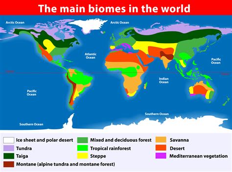 World Biomes - KidsPressMagazine.com