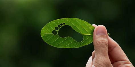 Individual Carbon Footprints: A Key to Equitable Climate Policy – Institute of Science ...