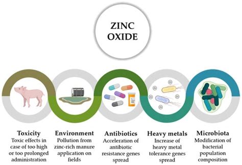 Towards Zero Zinc Oxide: Feeding Strategies to Manage Post-Weaning ...