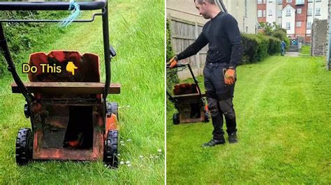 Gardening pro reveals an old stick is all you need to make cutting long ...