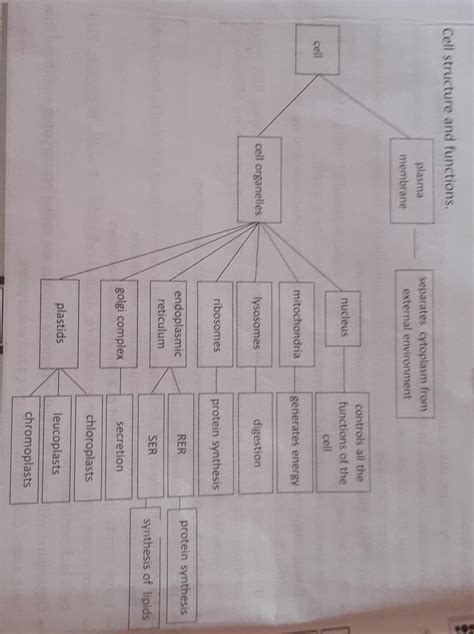Cell its structure and function in 9th class main points - Brainly.in