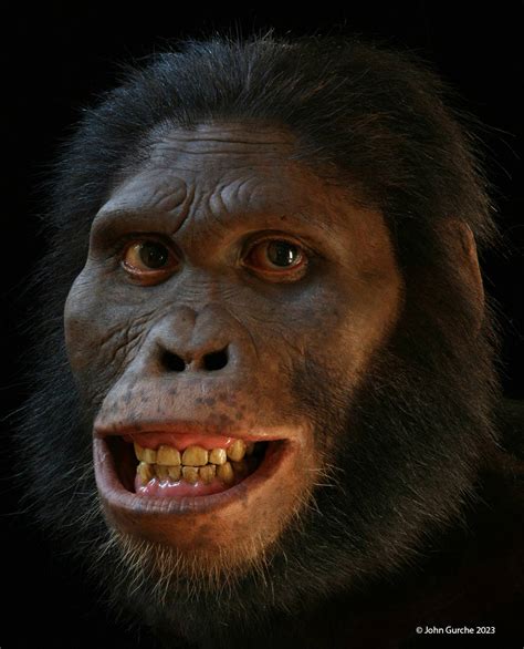 Australopithecus Africanus Body 的图像结果