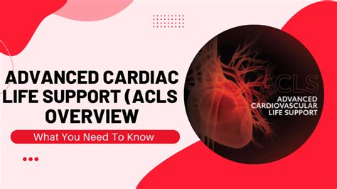 Image result for ACLS Overview