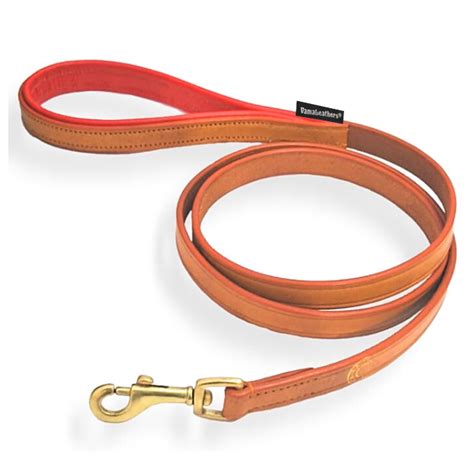 Beautiful Leather Dog Leash. Suitable for All Ages for All Breed of ...