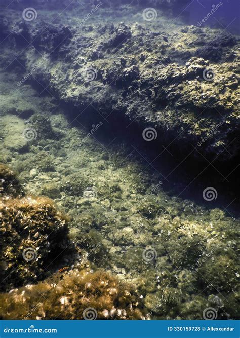 Bottom of the Sea 的图像结果