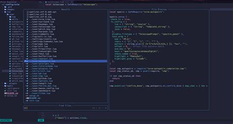 Nvim Config File 的图像结果