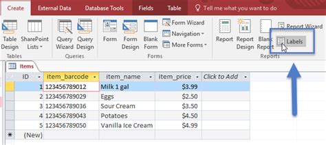 Image result for MS Access Screen Elements with Labels